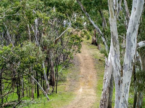 Montacute Conservation Park