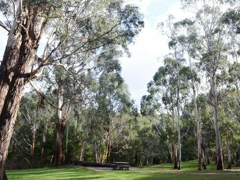 Mount George Conservation Park