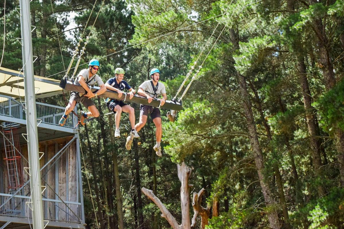 Rock Climb, Zipline and Mega Swing Experience at the Mount Lofty Adventure Hub