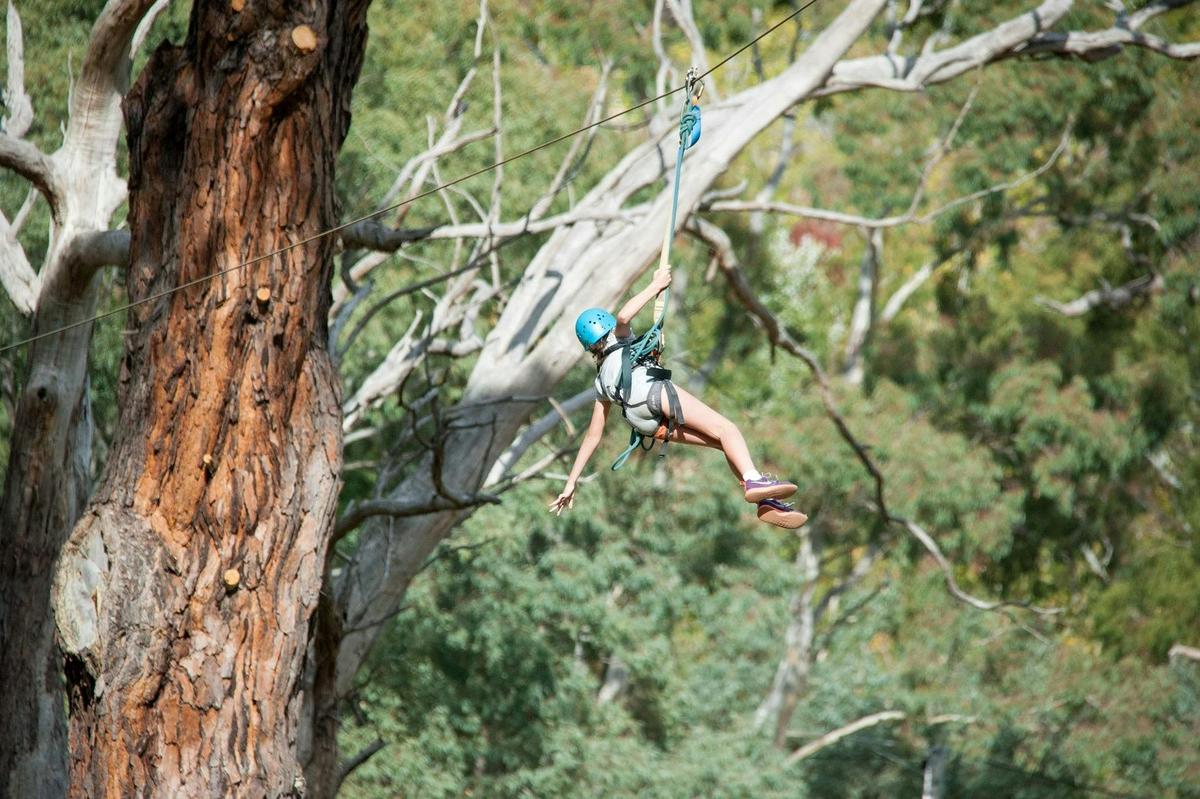 Zipline