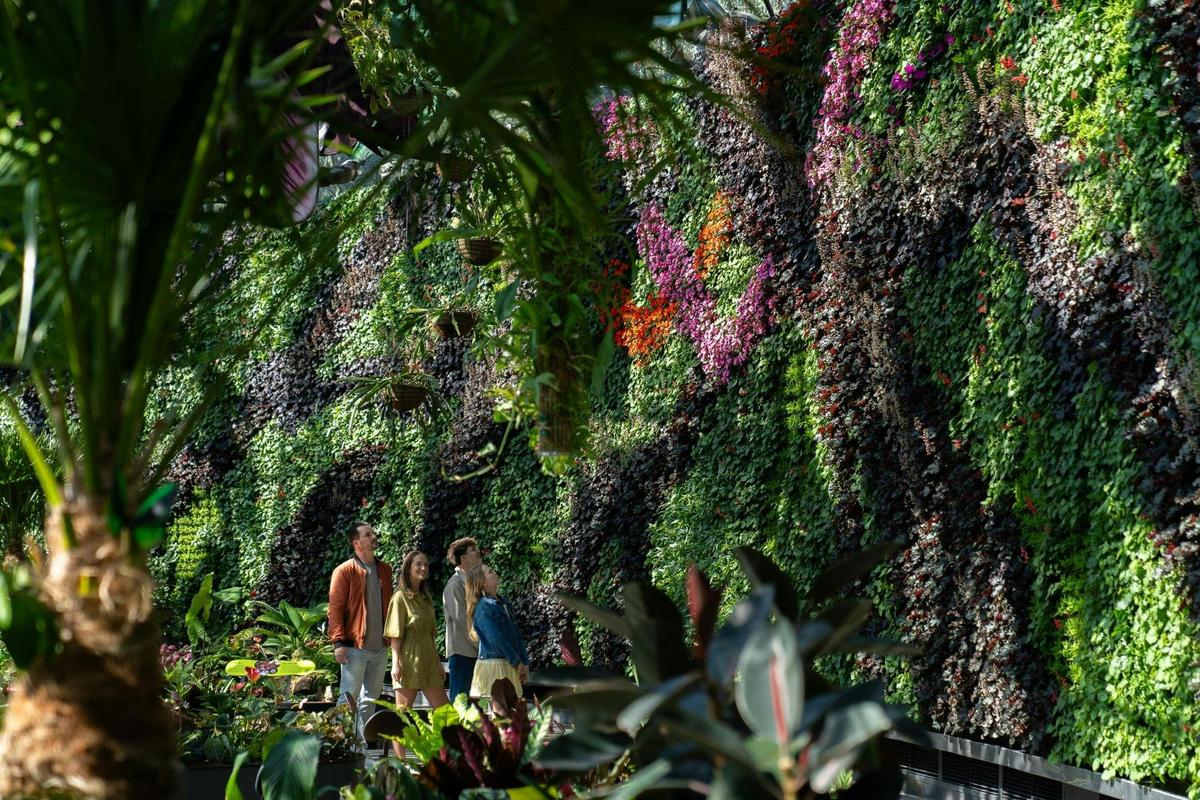 The Calyx is home to a café, gift shop & one of the southern hemisphere’s largest green walls.
