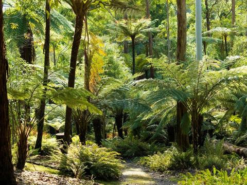 Mount Lofty Botanic Garden