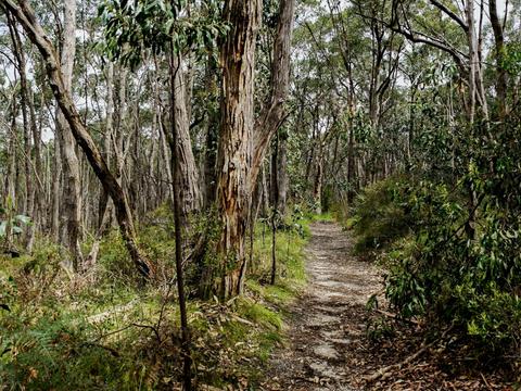 Mylor Conservation Park