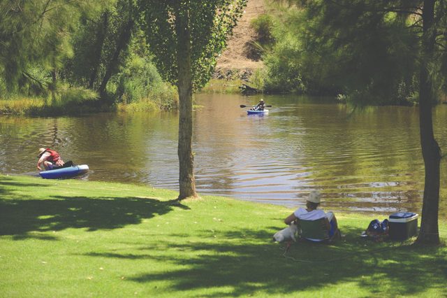 The Lions Junction Park - Tumut