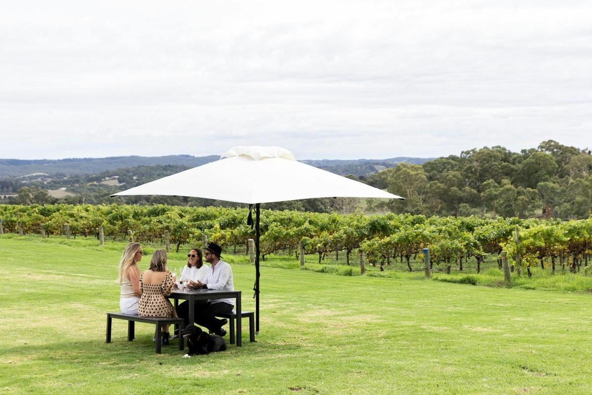 Sit out on our lawn with friends amongst our Nepenthe vines