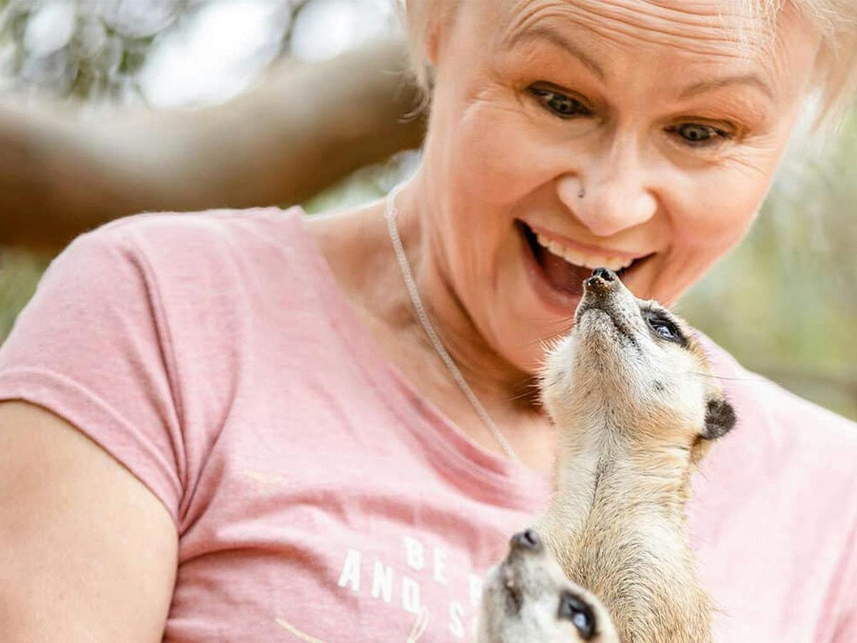 Meerkat Mingle