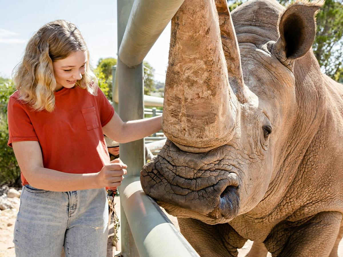 Black & White Rhino Interactive