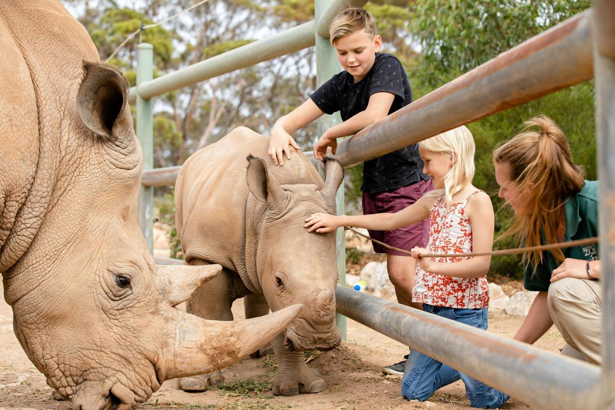 Black & White Rhino Interactive