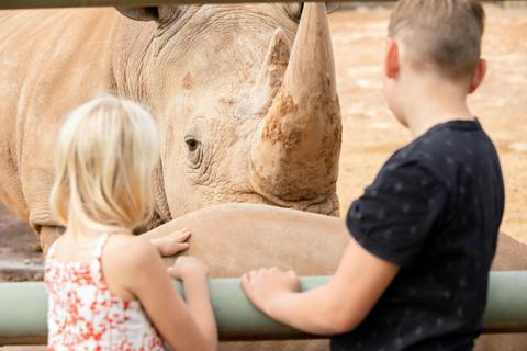Black & White Rhino Interactive