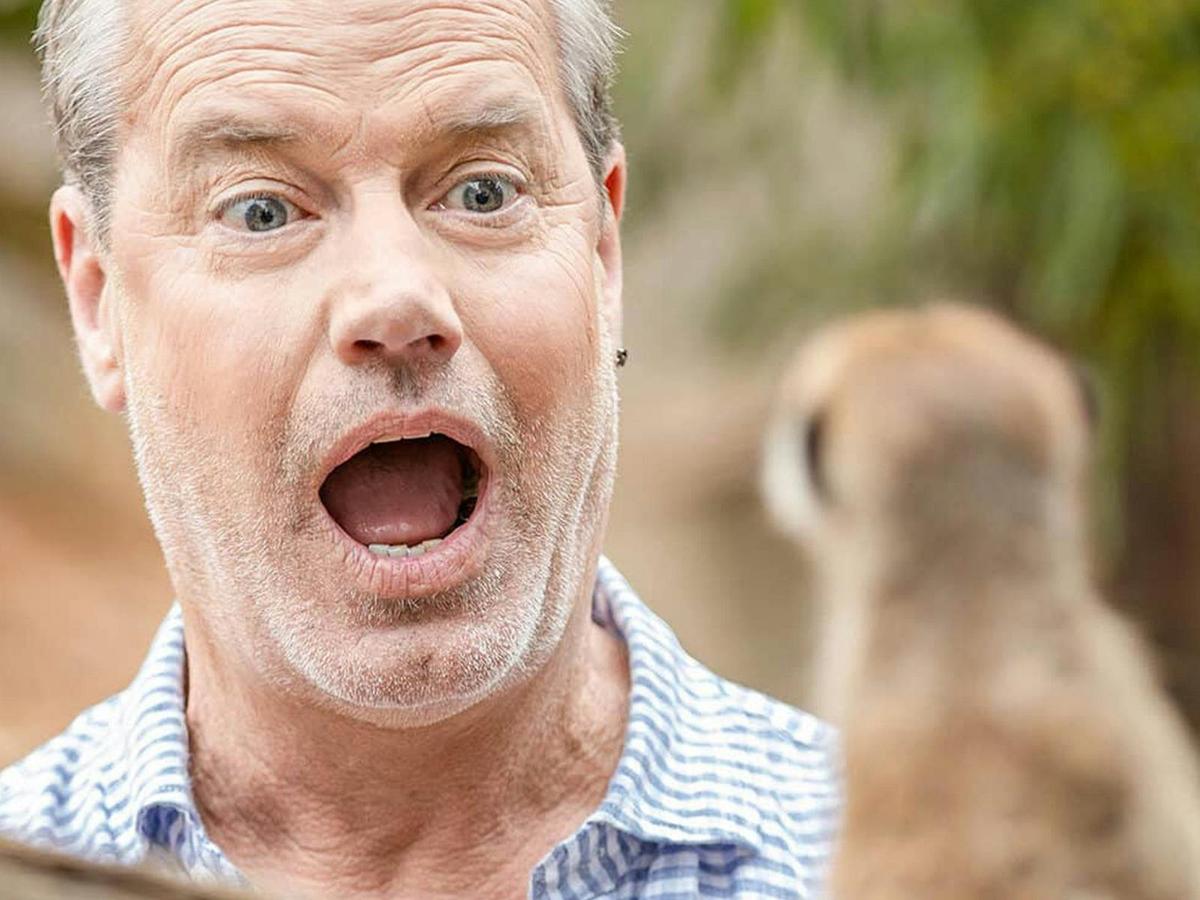 Meerkat Mingle
