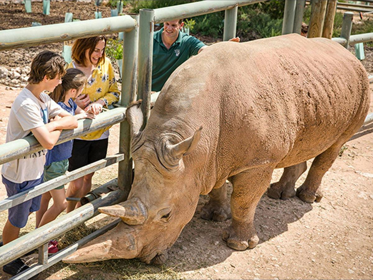 Black & White Rhino Interactive
