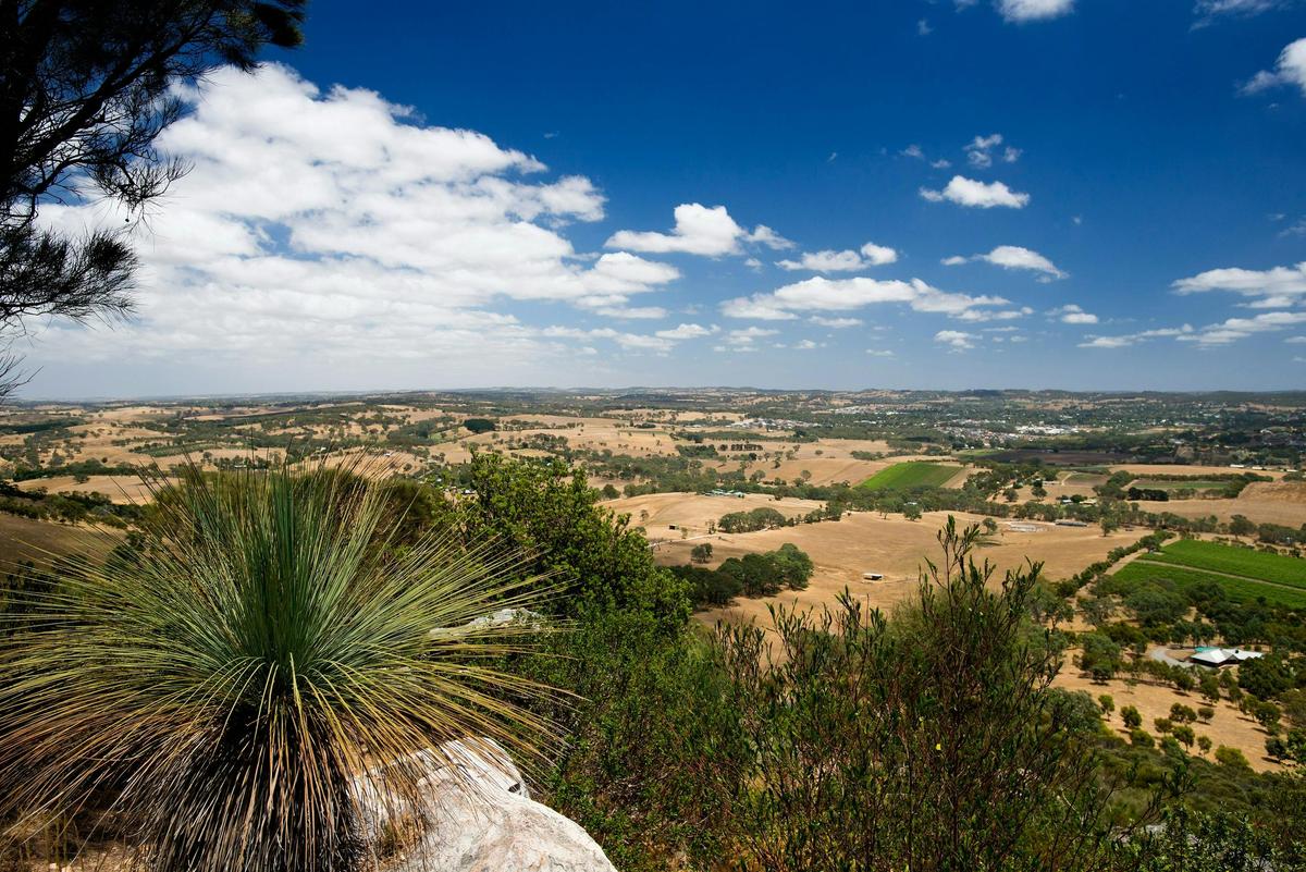 Mount Barker Summit