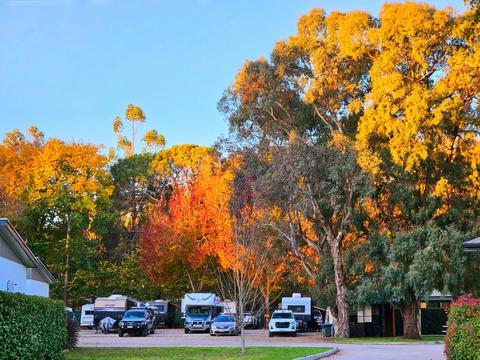 Mount Barker Caravan and Tourist Park
