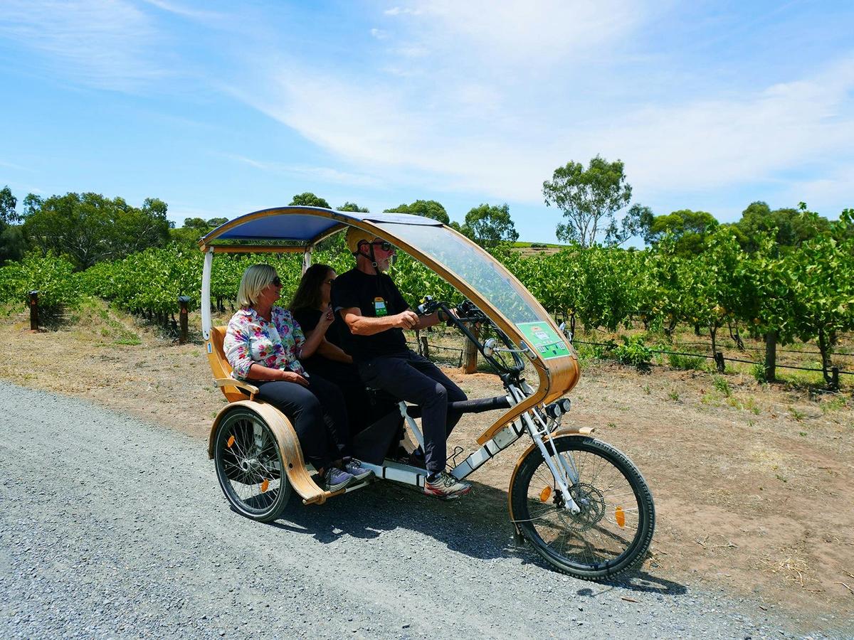 eTukTuk Tour from Shirvington Wines, McLaren Vale - SA eBikes