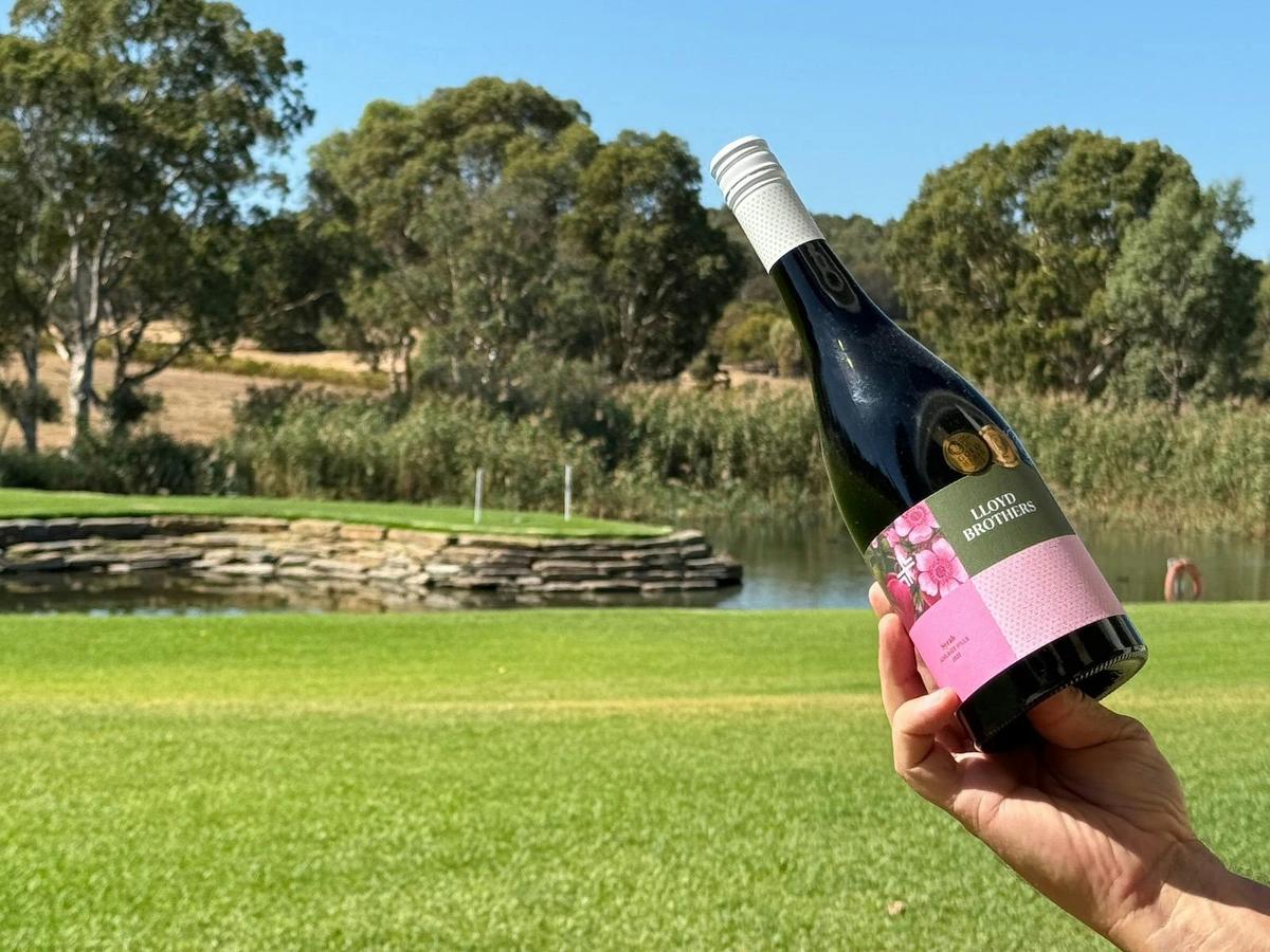 McLaren Vale eBike Tour from your accomodation - SA eBikes