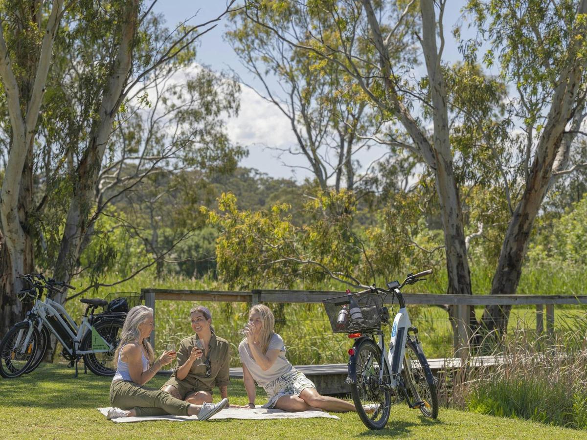 eTukTuk Self-guided Tour from Oxenberry Farm, McLaren Vale - SA eBikes