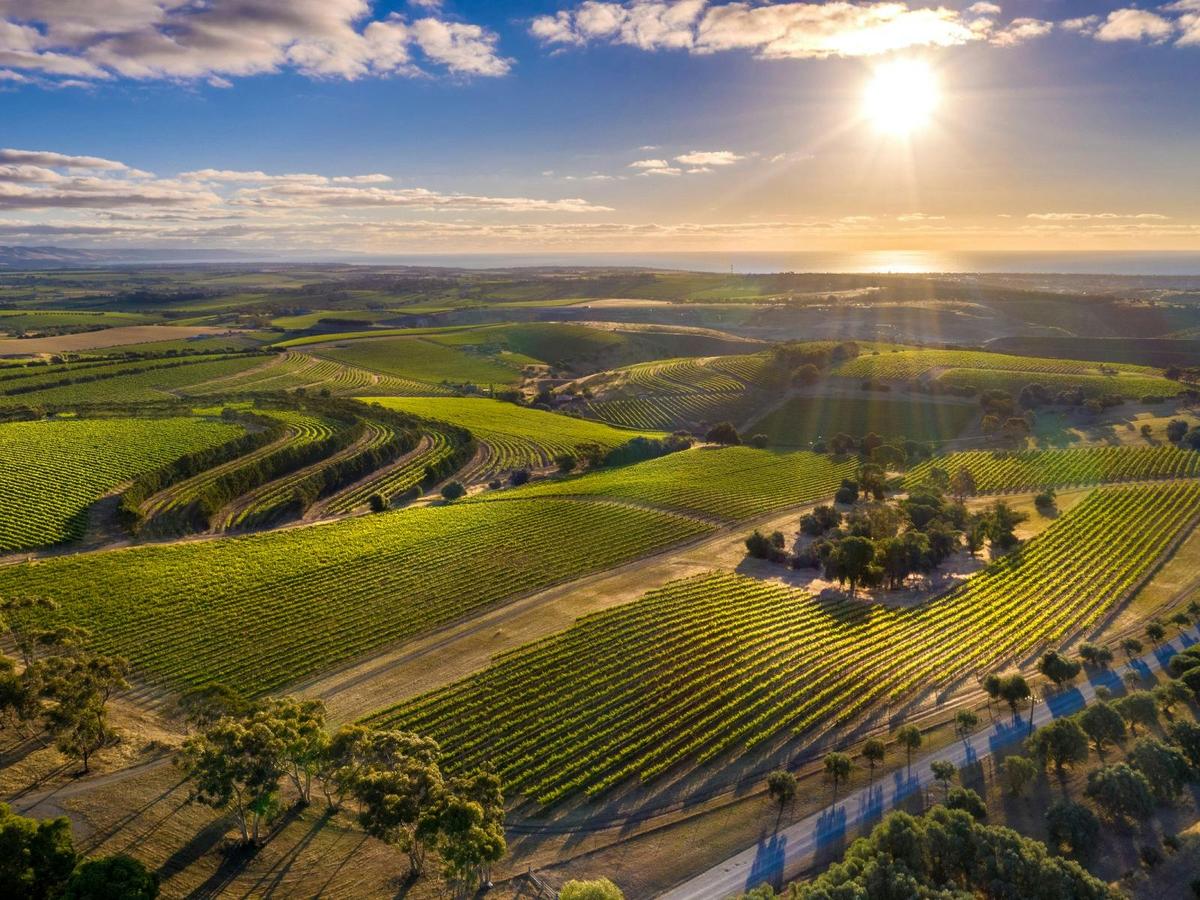 eBike Experience - McLaren Vale Visitor Centre to Dandelion Wonder Room