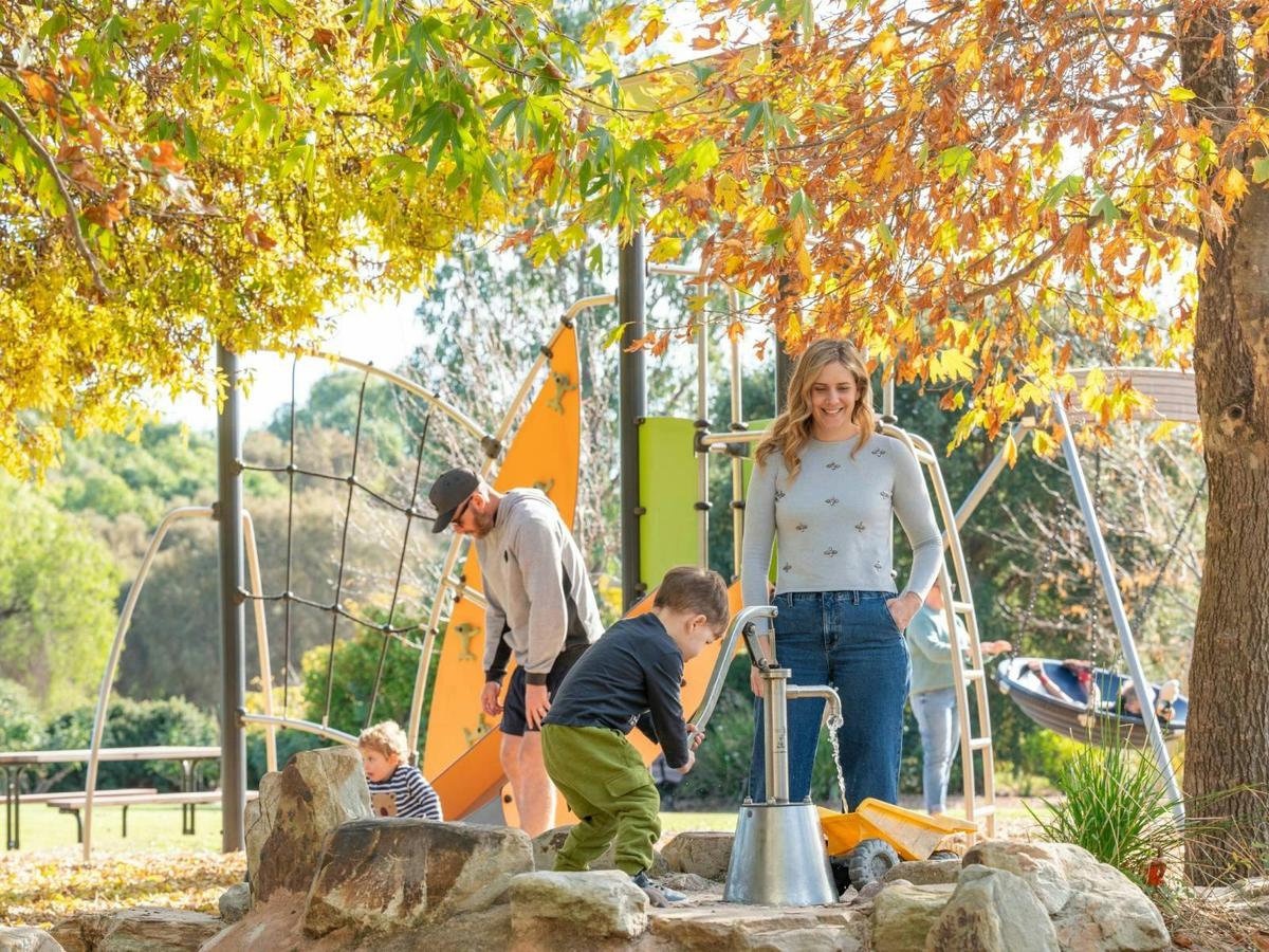 McLaren Vale eBike Tour from Visitor Information Centre - SA eBikes