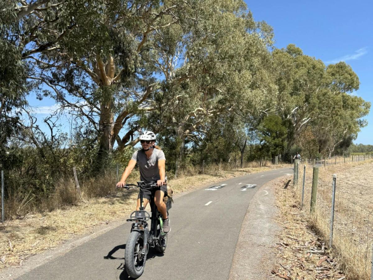 McLaren Vale eBike Tour from your accomodation - SA eBikes
