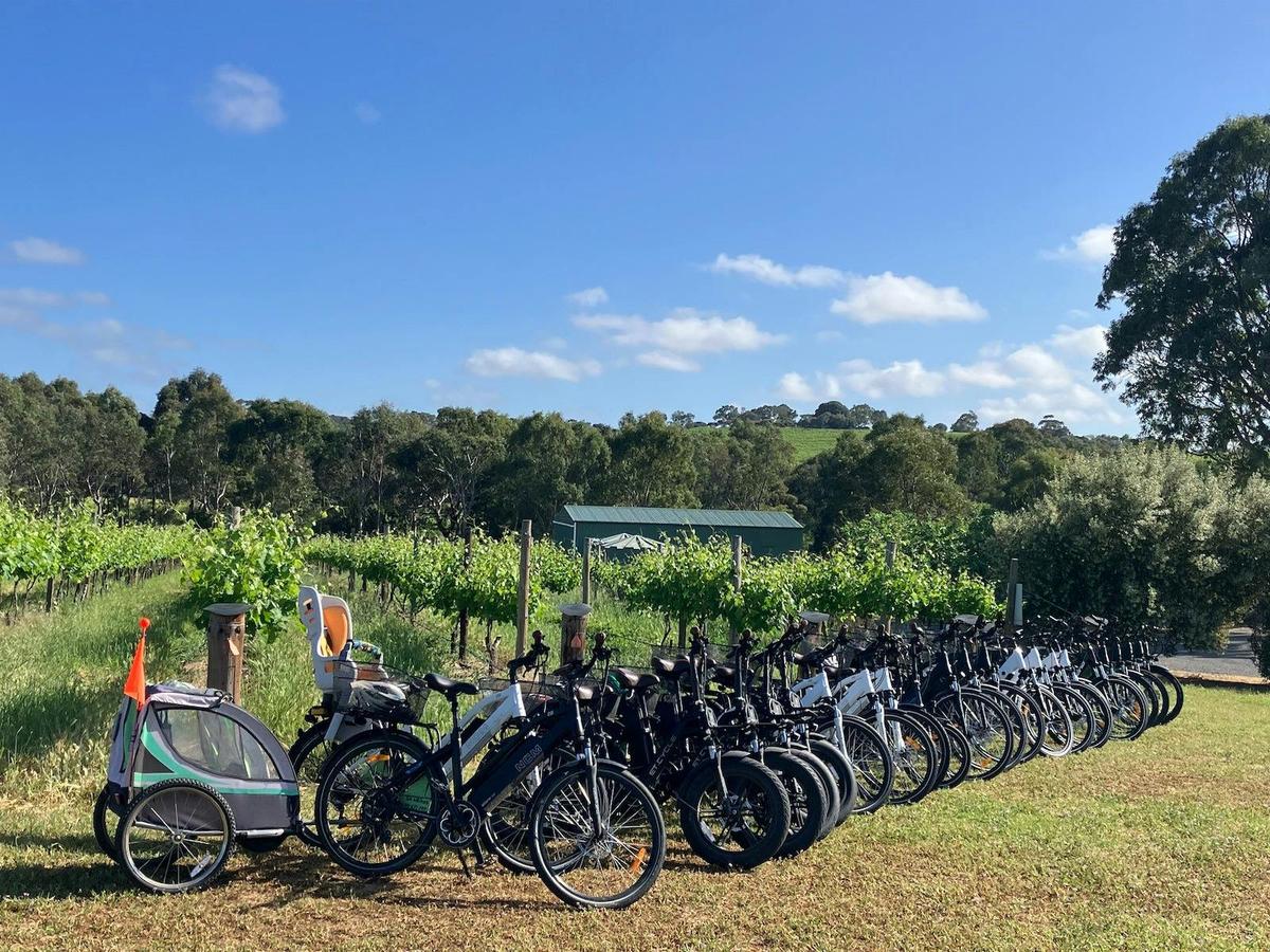 McLaren Vale eBike Tour from Visitor Information Centre - SA eBikes