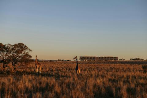 Monarto Safari Resort