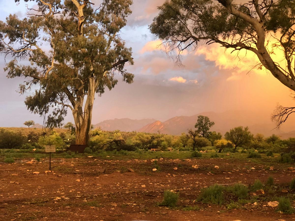 Merna Mora Station Moralana creek