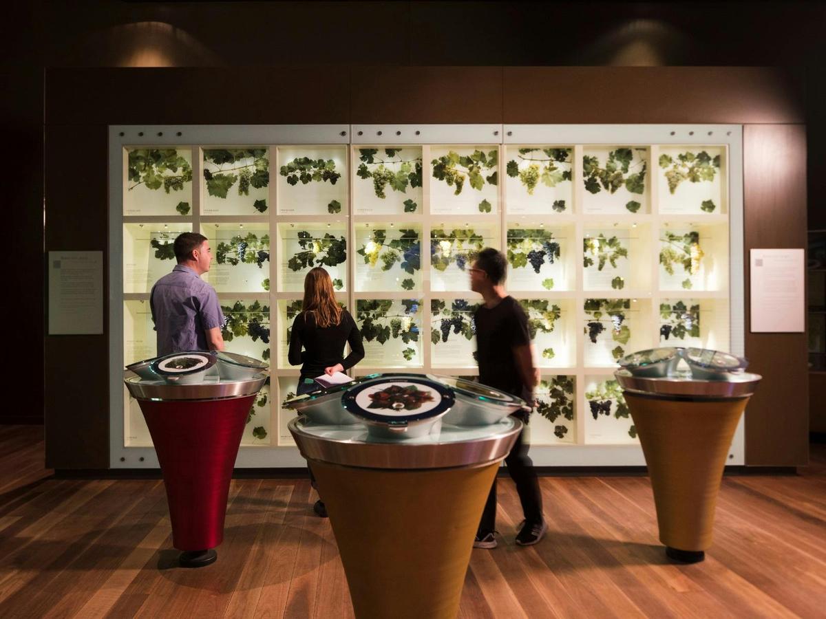 Hosted Tour + Tasting