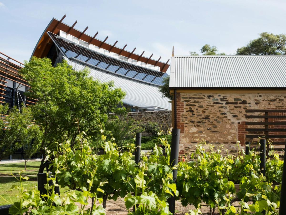 Australian Wine Masterclass