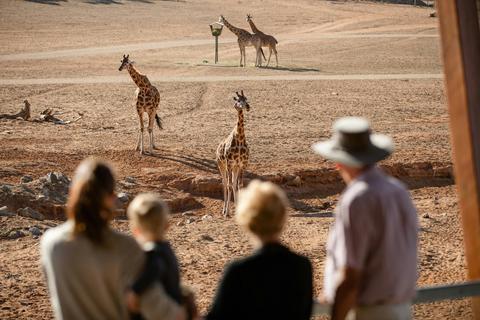 Monarto Safari Park