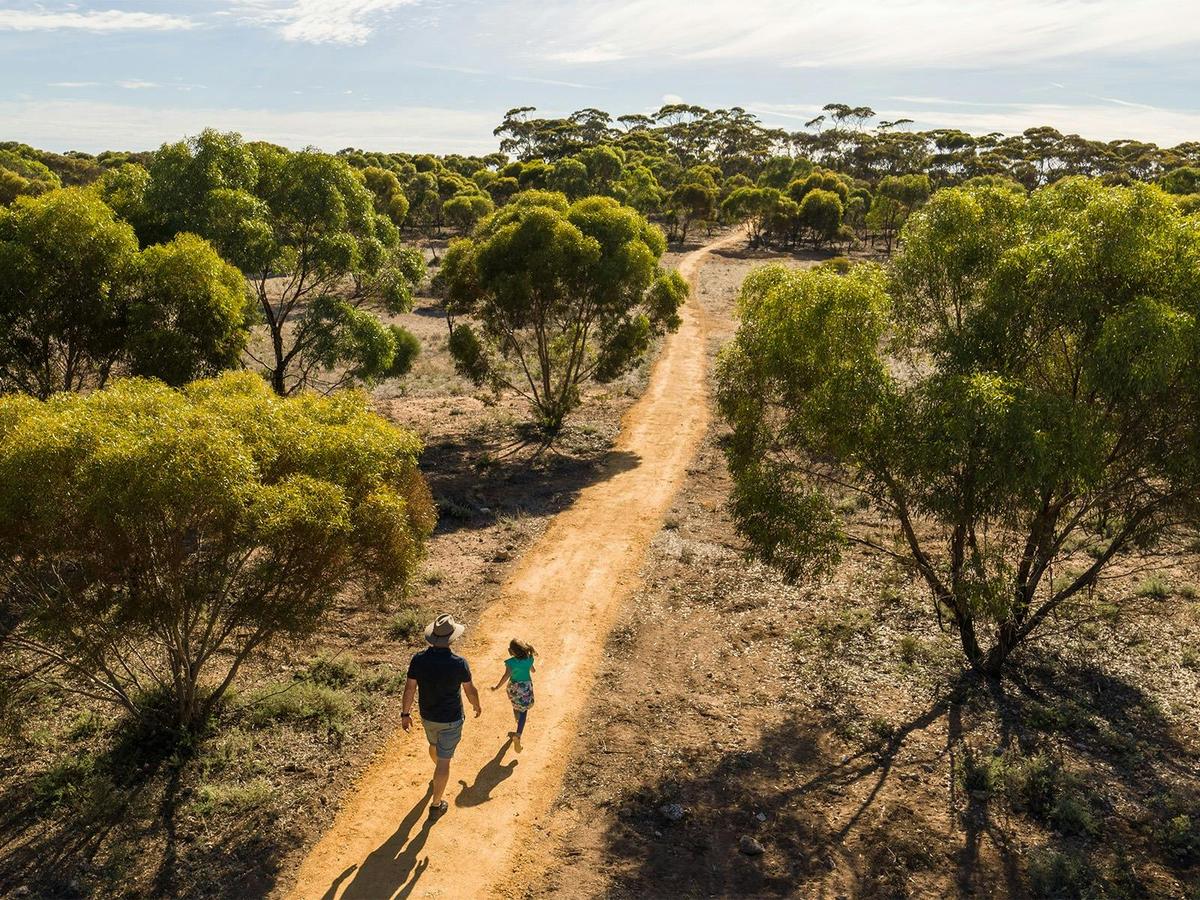 Monarto Safari Park has over 12km of walking trails.
