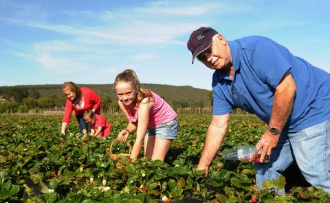 Mount Compass Produce and Tourist Trail