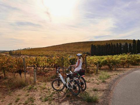 Self Guided McLaren Vale e-Bike Tour, from Adelaide