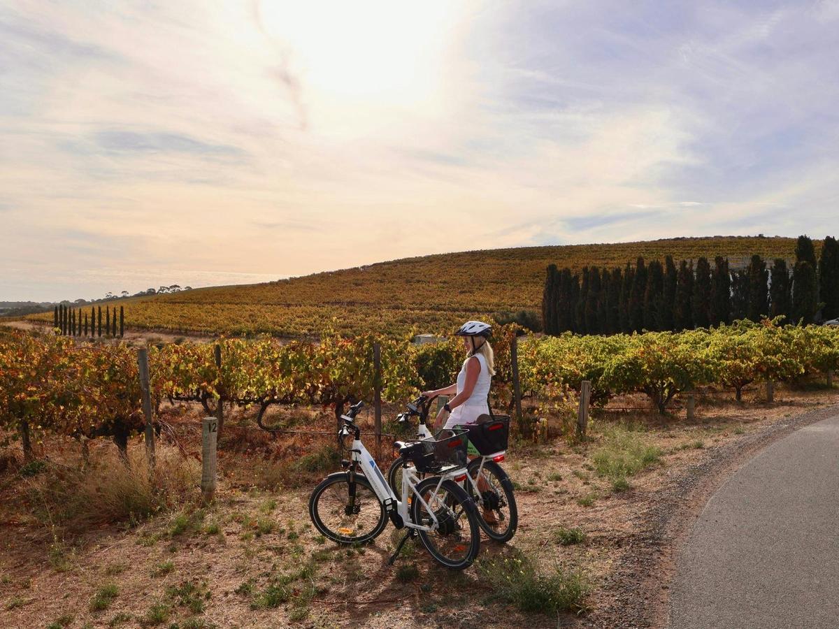 Self Guided McLaren Vale e-Bike Tour, from Adelaide