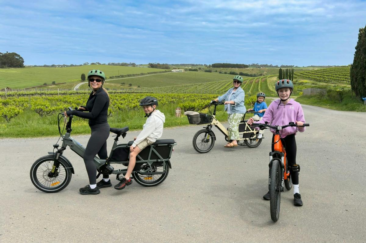 Family friendly eBikes