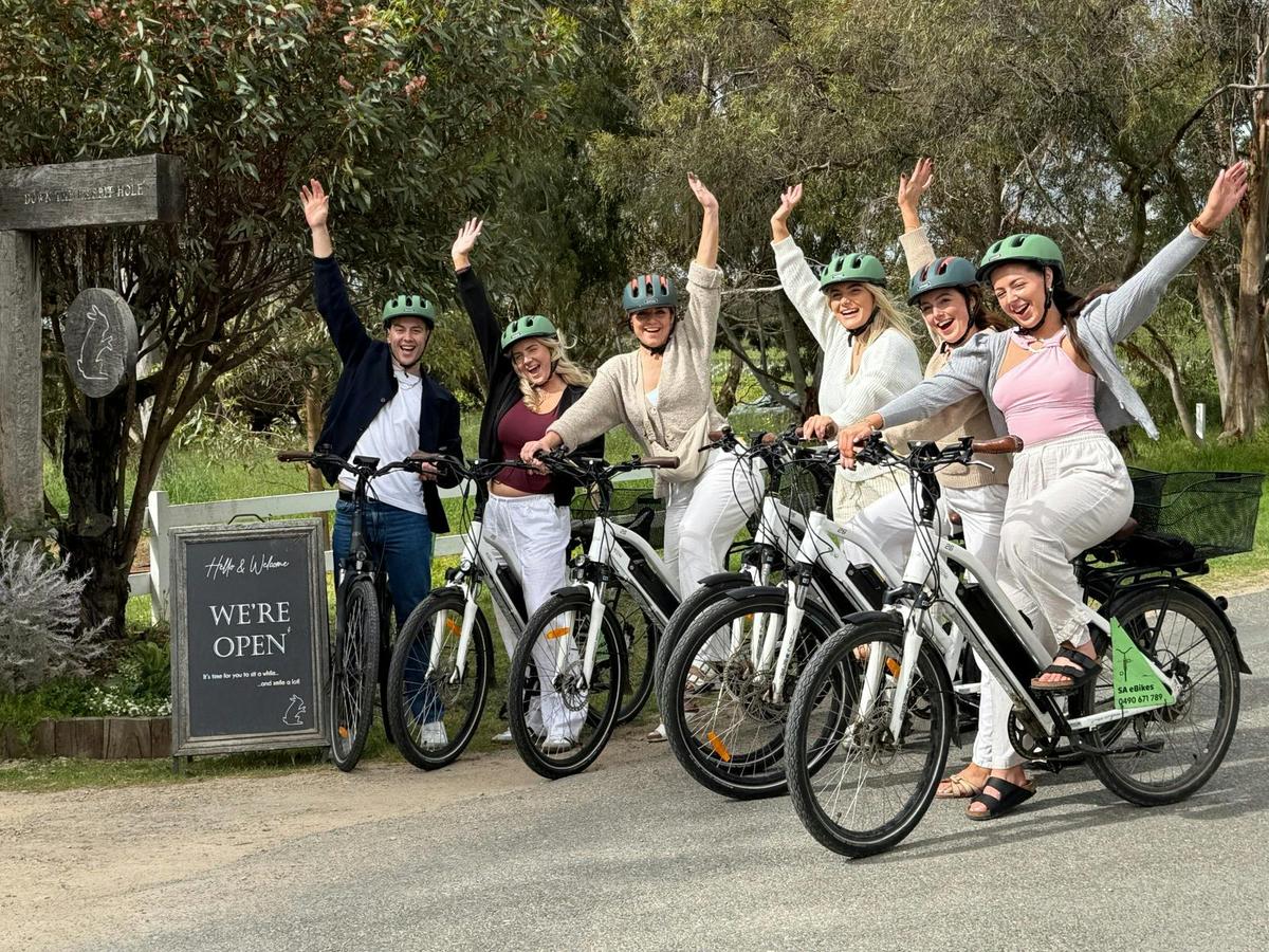 Self Guided McLaren Vale e-Bike Tour, from Adelaide