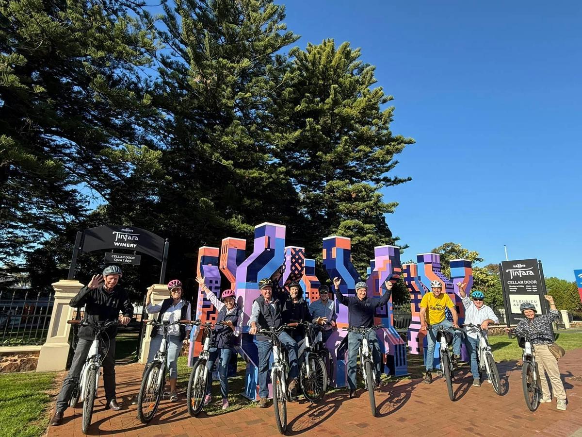 Self Guided McLaren Vale e-Bike Tour, from Adelaide