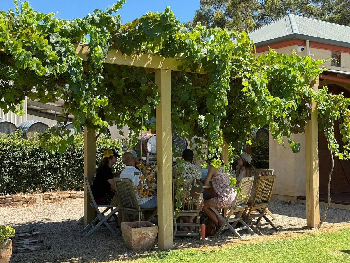 Guided McLaren Vale e-TukTuk Food & Wine Experience, from Adelaide
