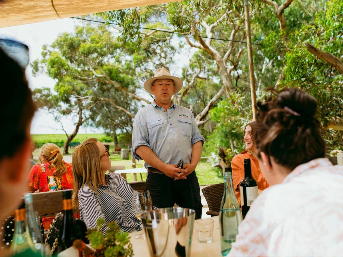 Guided McLaren Vale e-Bike Food & Wine Experience, from Adelaide