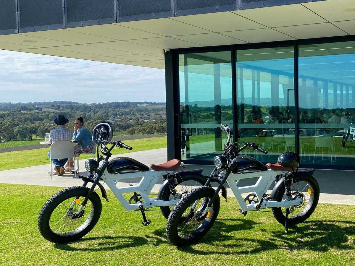 Guided McLaren Vale e-Bike Food & Wine Experience, from Adelaide