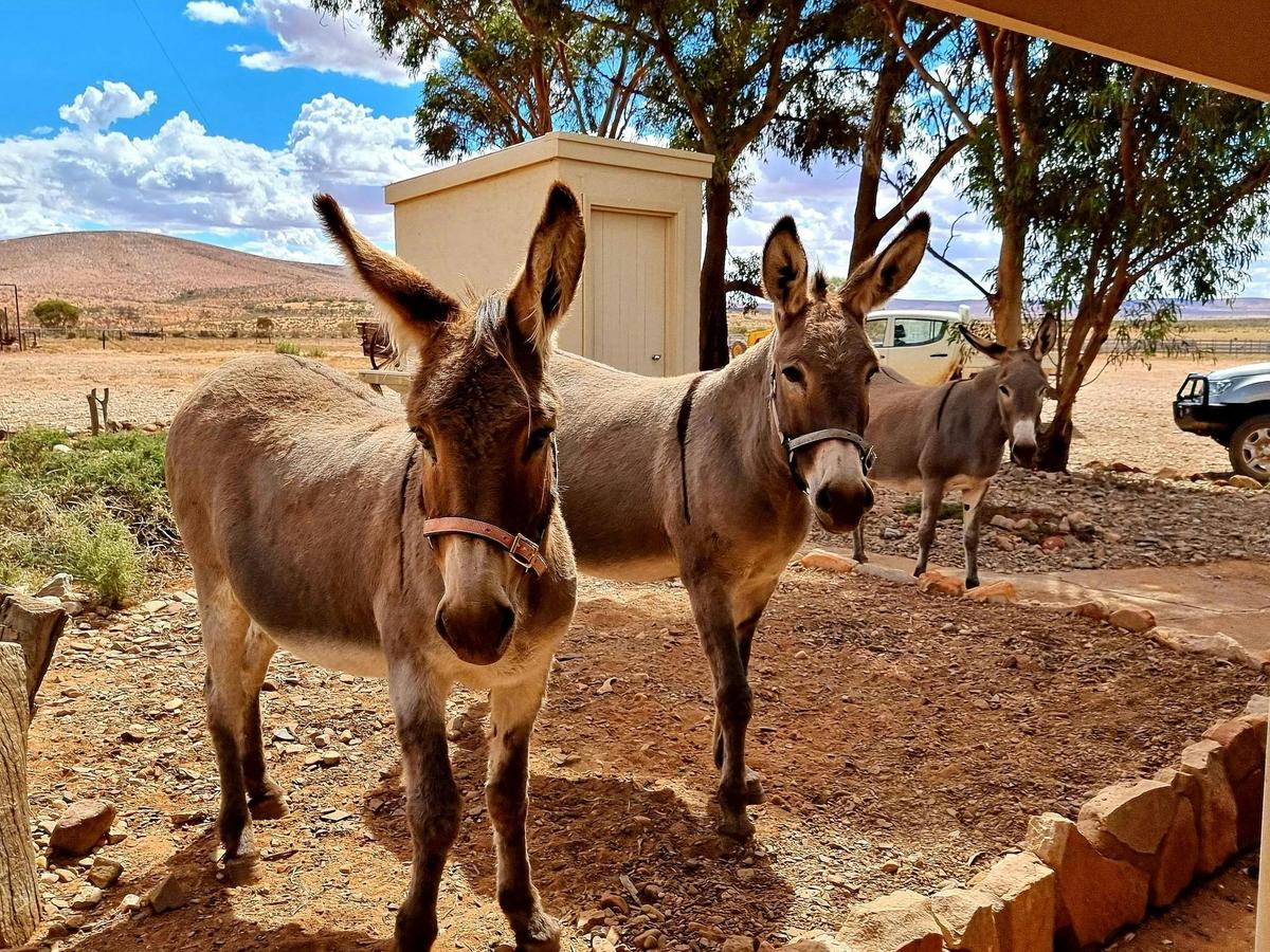The residents will call in for a visit