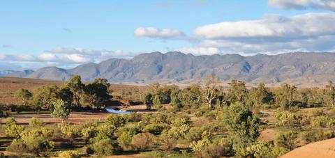 Mount Little Homestead