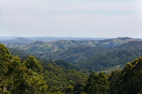 Mount Crawford Forest