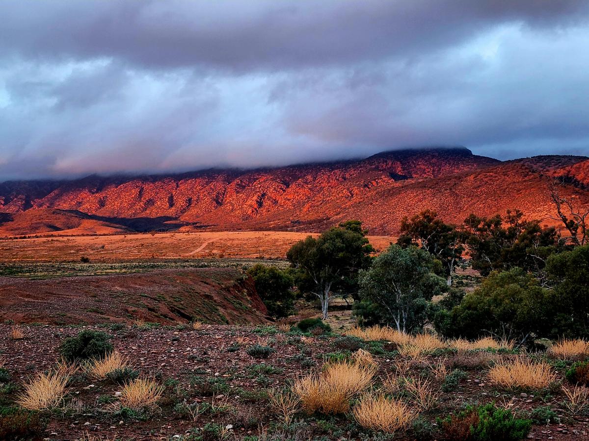 Elder Range at Sunset