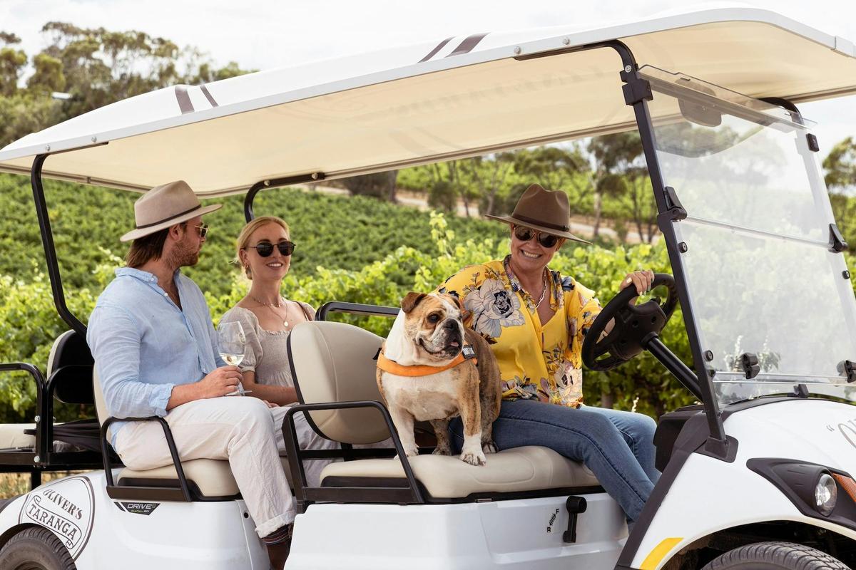 Ollie the golf cart @ Oliver's Taranga