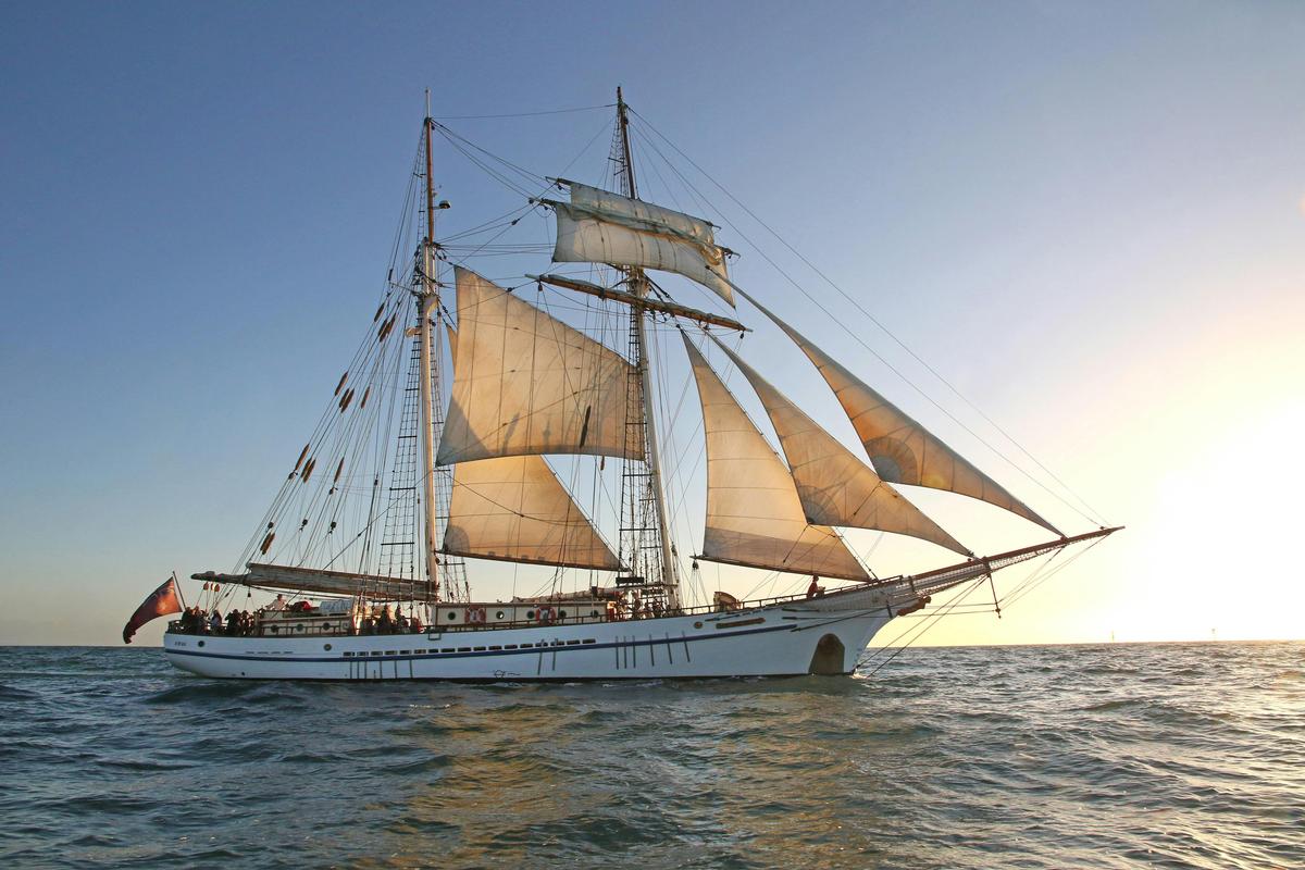 One and All Day Sail Experience