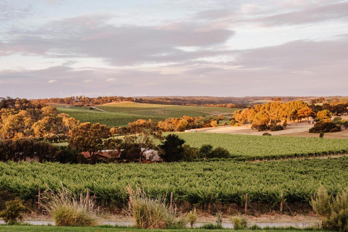 Never Never I McLaren Vale