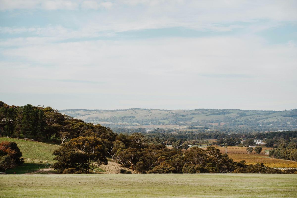 Vale Views