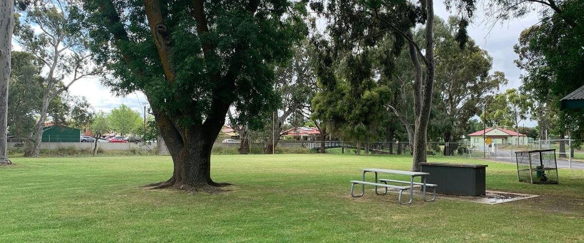 BBQ & Grass area