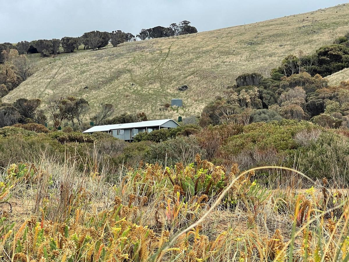House nestled in hills