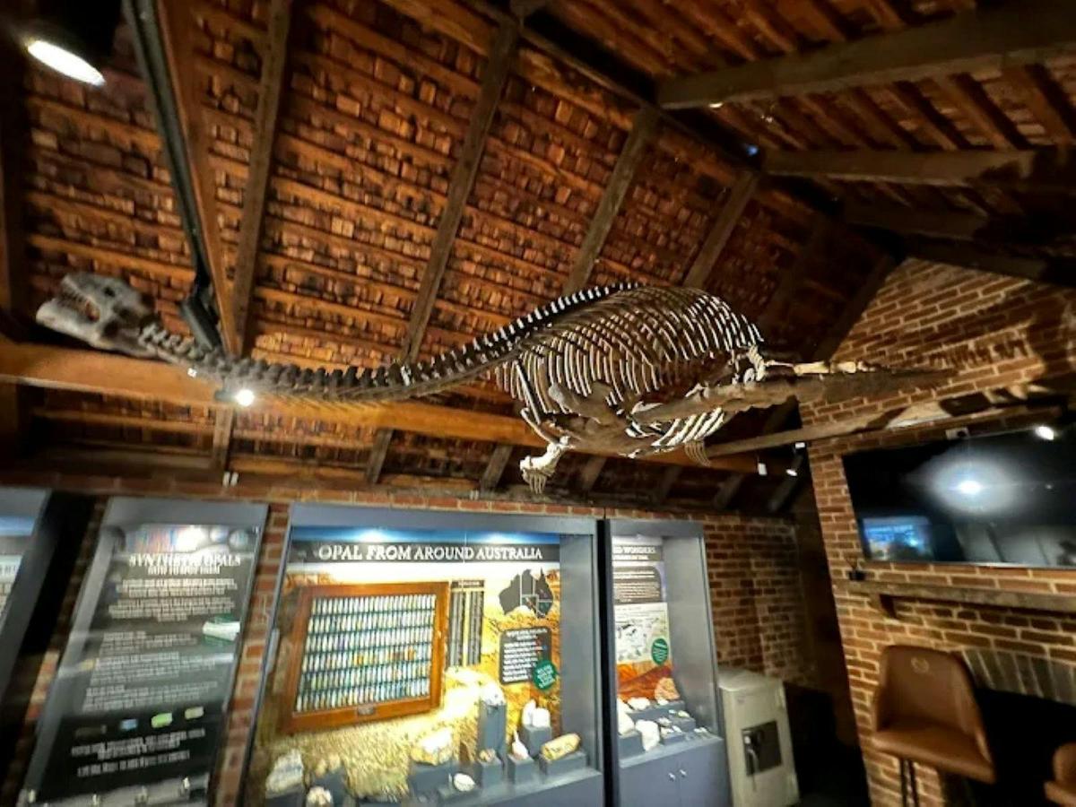 Plesiosaurus